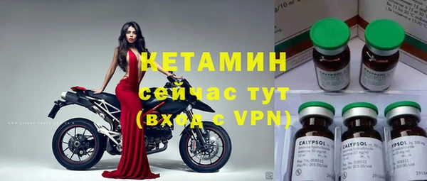 прущие грибы Горно-Алтайск