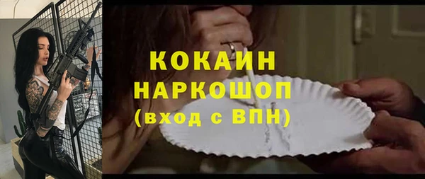 прущие грибы Горно-Алтайск