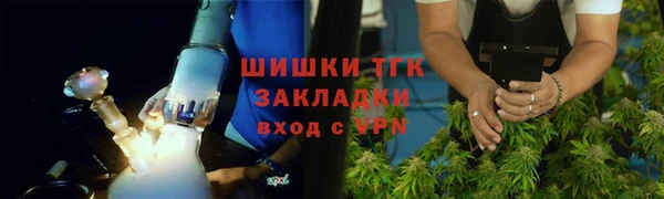 прущие грибы Горно-Алтайск