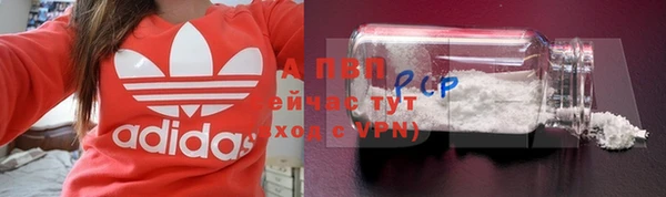 прущие грибы Горно-Алтайск