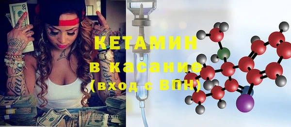 прущие грибы Горно-Алтайск