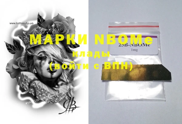 прущие грибы Горно-Алтайск