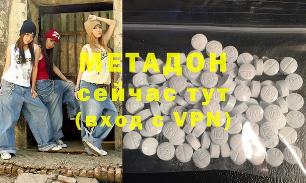 прущие грибы Горно-Алтайск